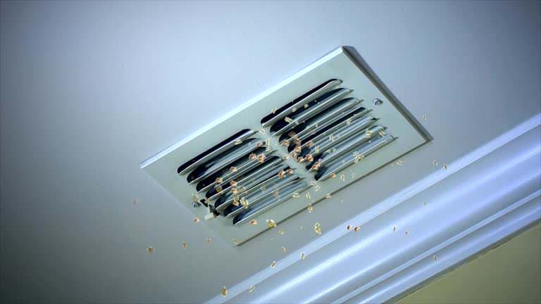 Best HVAC Air Duct Cleaning  in Labasas, CA