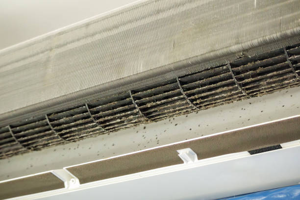 Best Local Air Duct Cleaning Services  in Labasas, CA